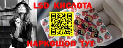 PSILOCYBIN Пугачёв