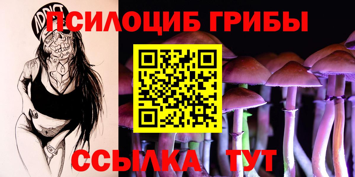 Псилоцибиновые грибы Magic Shrooms Узловая