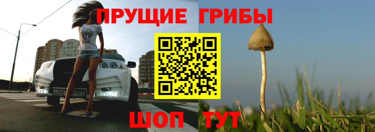 дарнет шоп  Галлюциногенные грибы мицелий  Вход с VPN  Узловая 